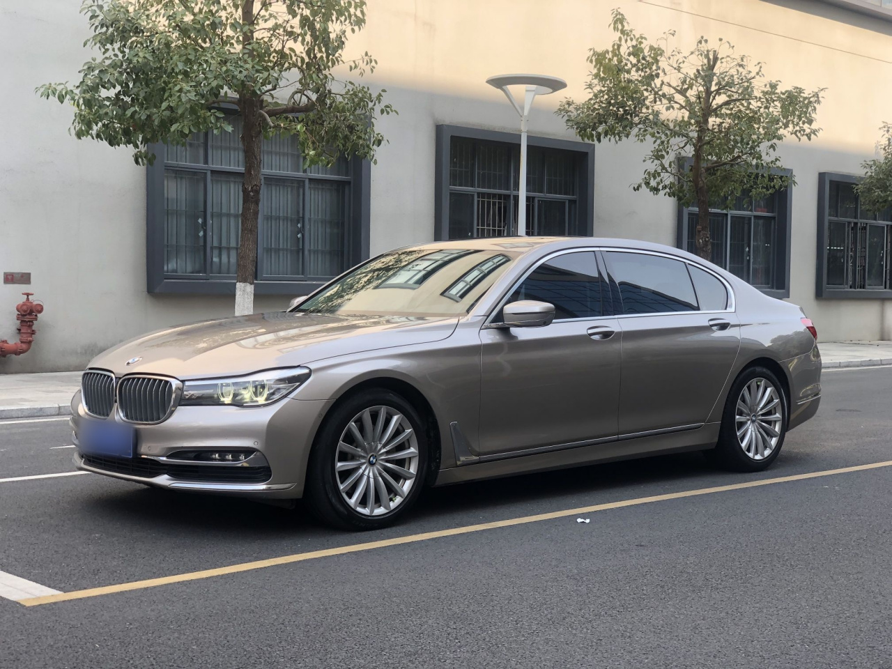 7 Series 2018 730Li Leading Excellence