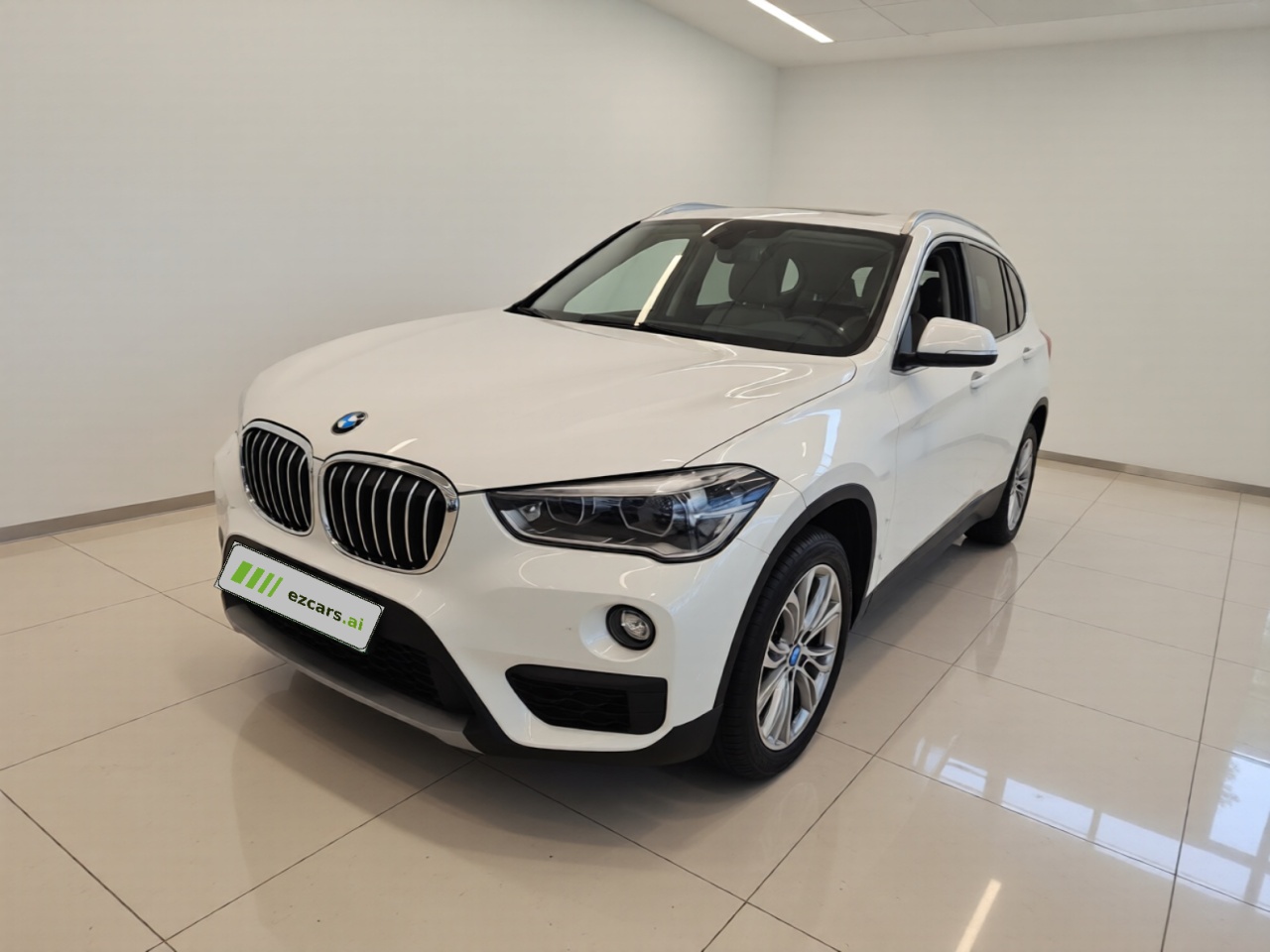 X1 2019 sDrive20Li Leading
