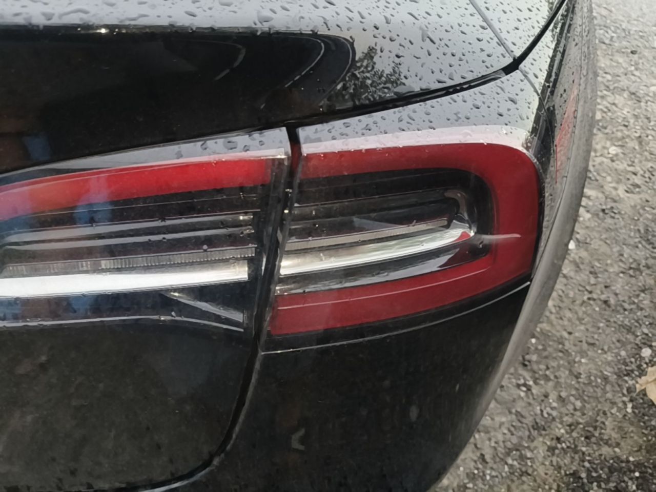 Model 3 2022 RWD photo 2