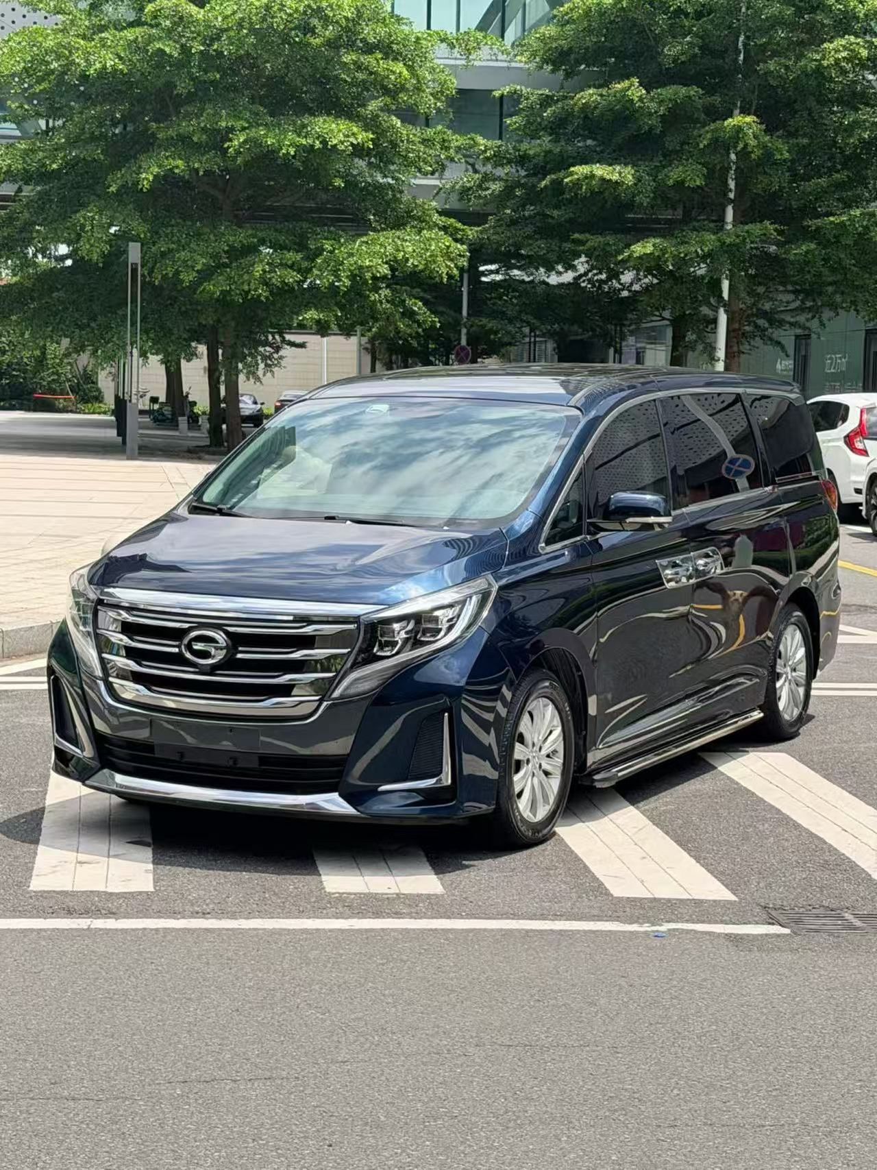 GAC Trumpchi M8 2020 Pilot 390T Exclusive