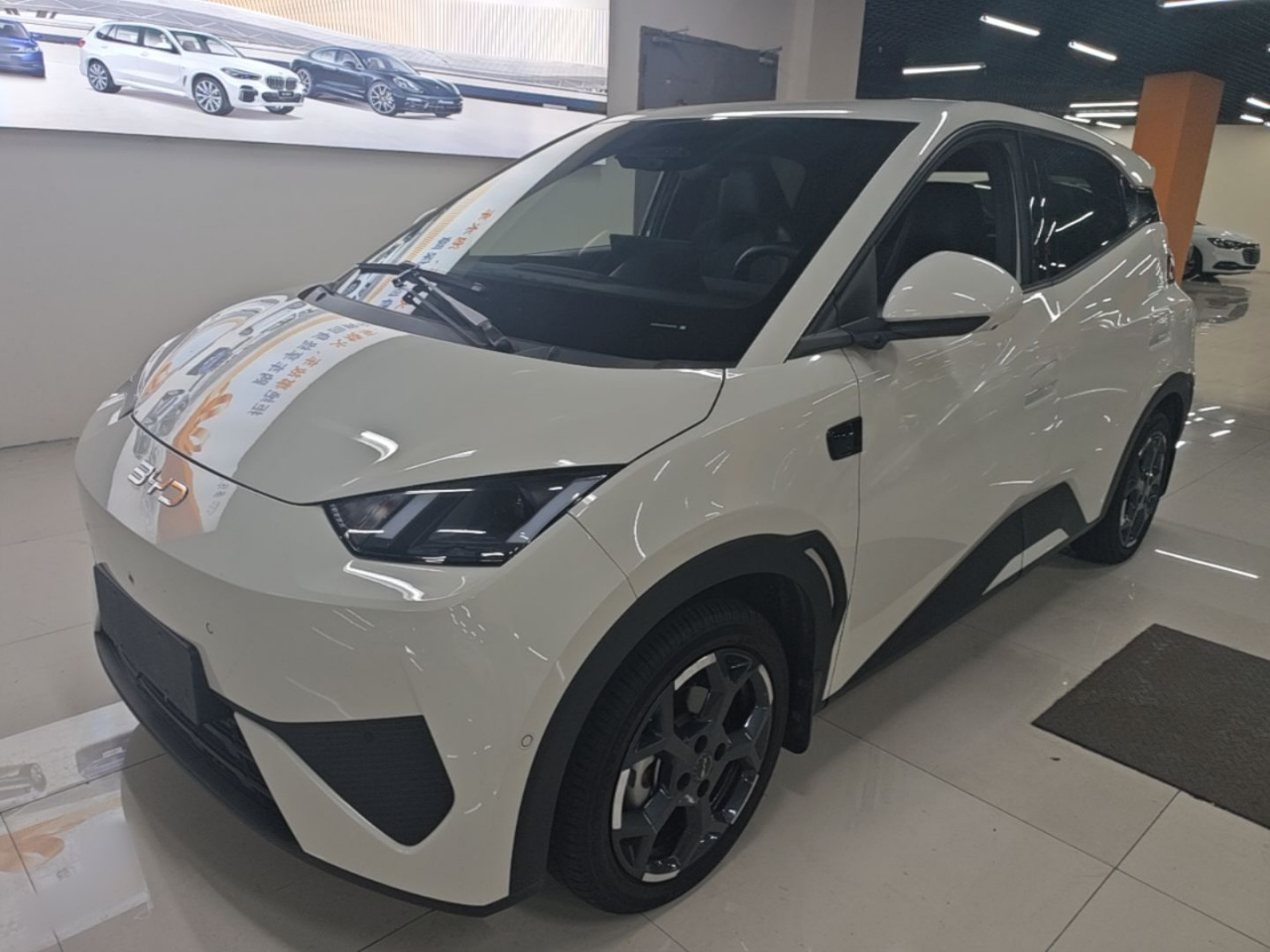 Seagull 2025 ADAS 405km