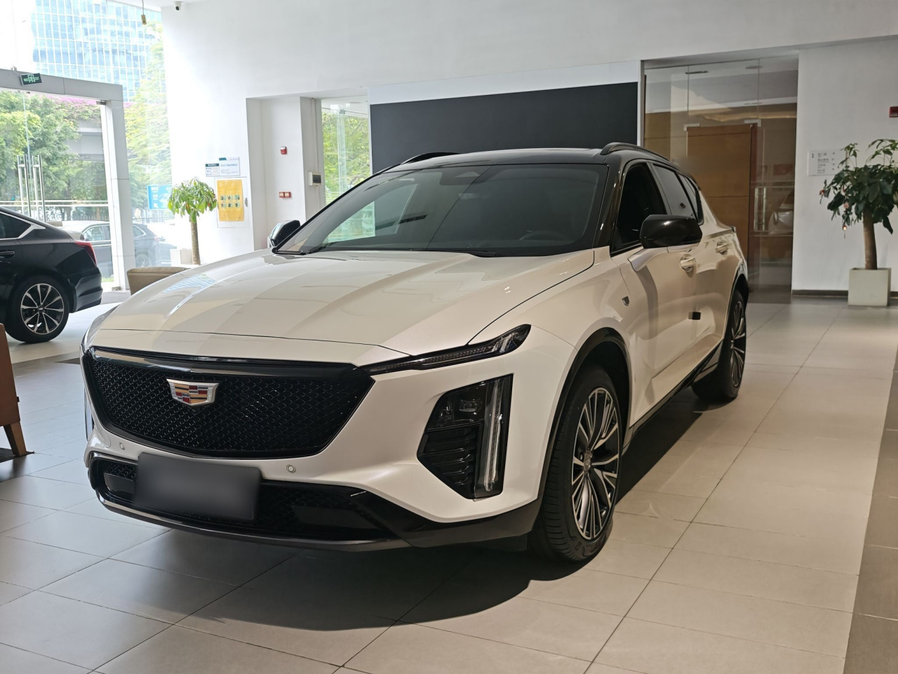 GT4 2023 25T Premium