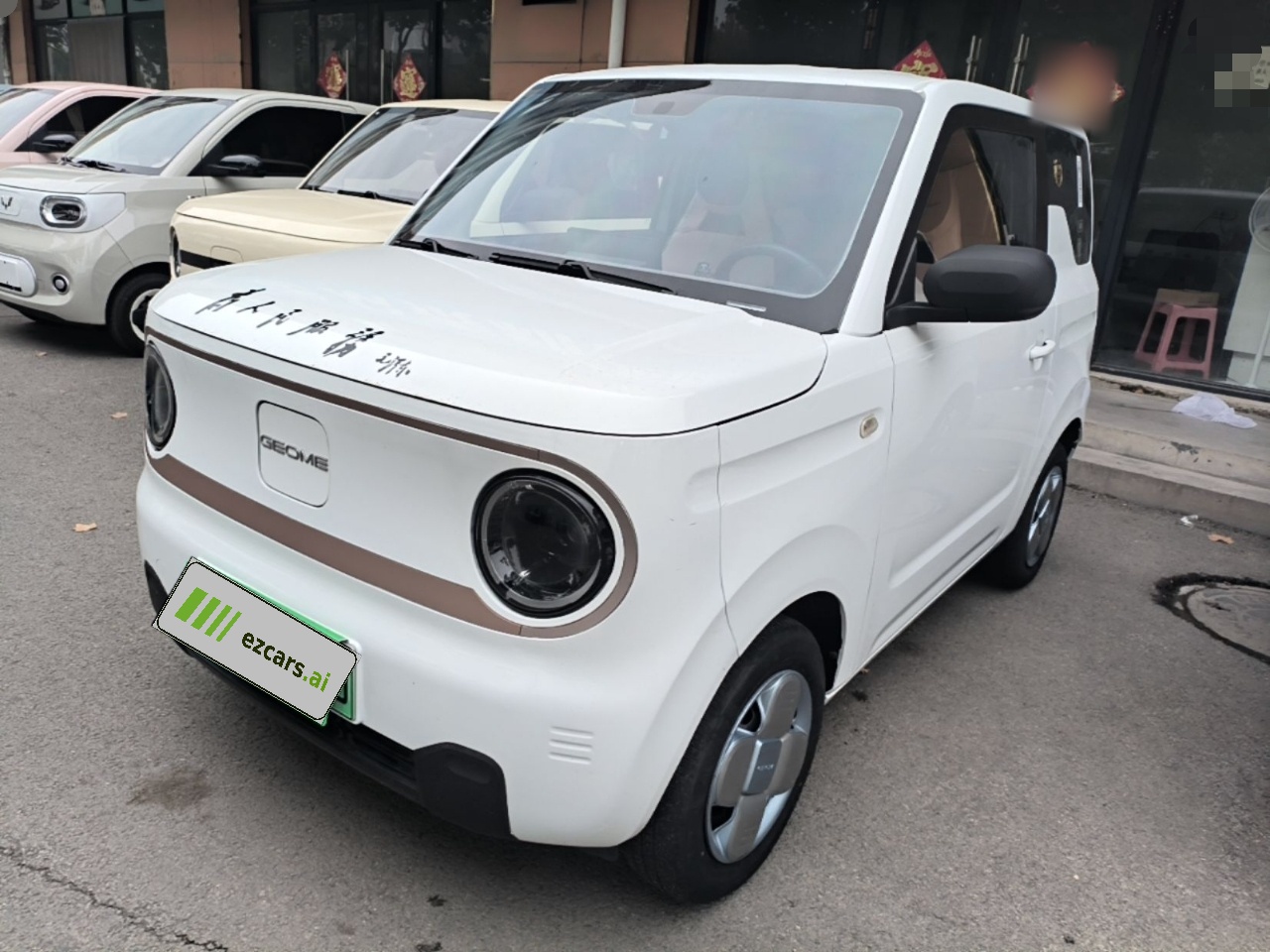 2024 Panda mini 200km Endurance Bear