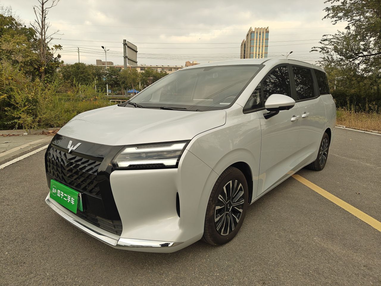730 EV 2025 125km Luxury