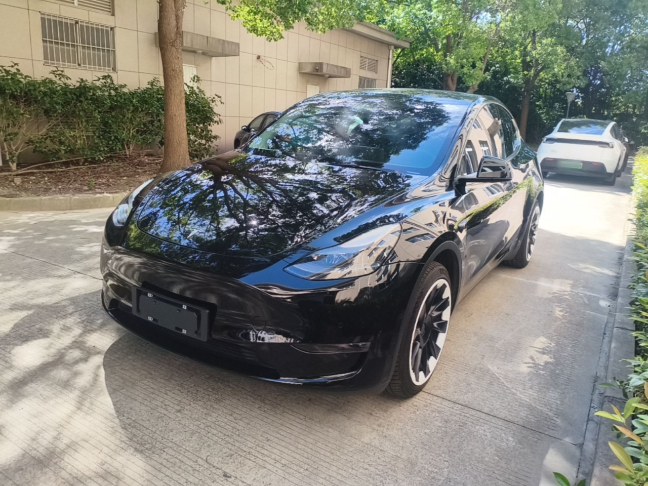 Model Y 2022 Long Range AWD