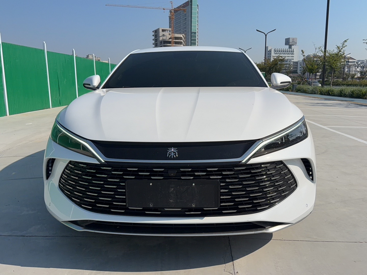 Qin L 2024 DM-i 80KM photo 3