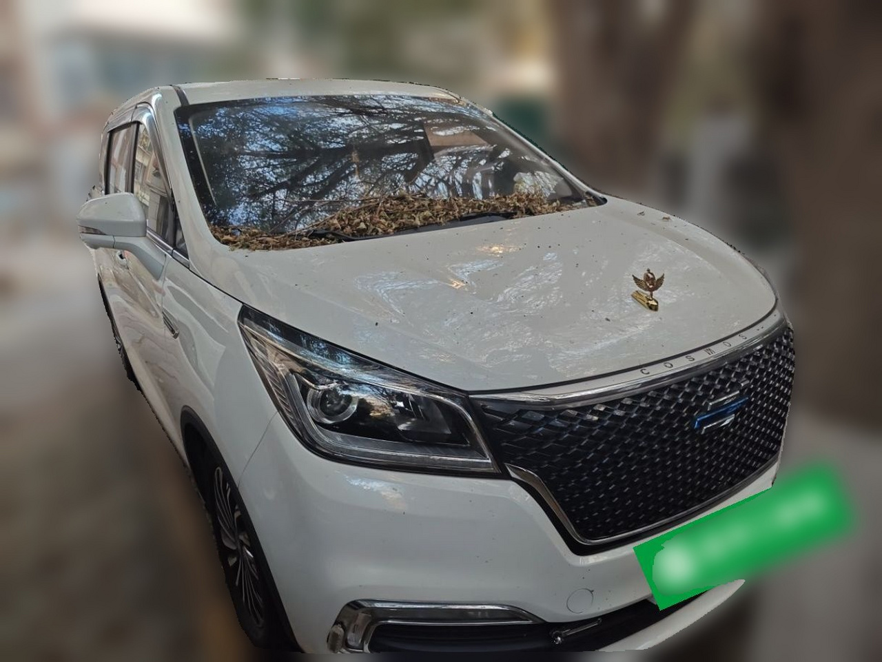 2019 1.5T AT Flagship China VI photo 3