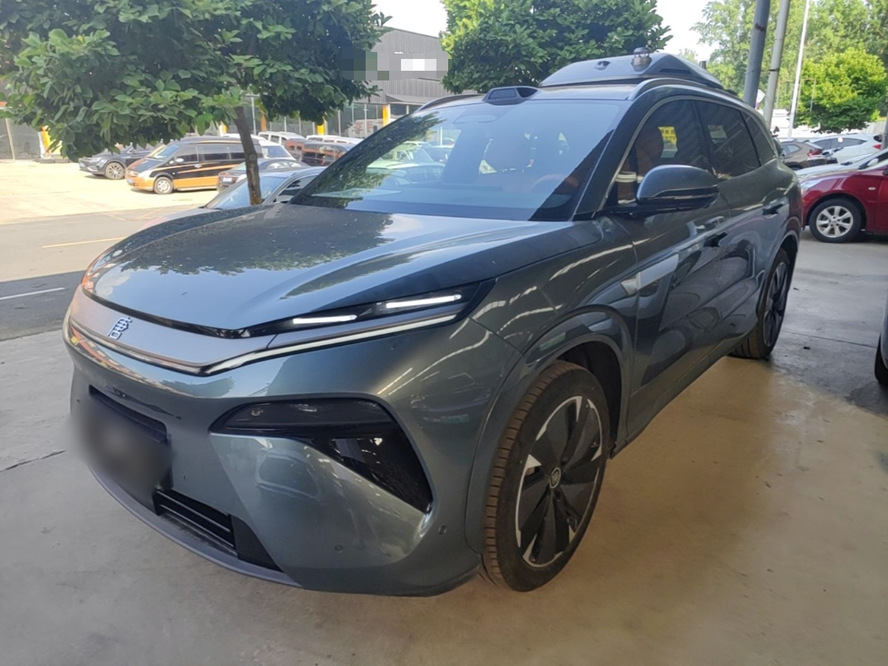 Tang L 2025 DM 175KM