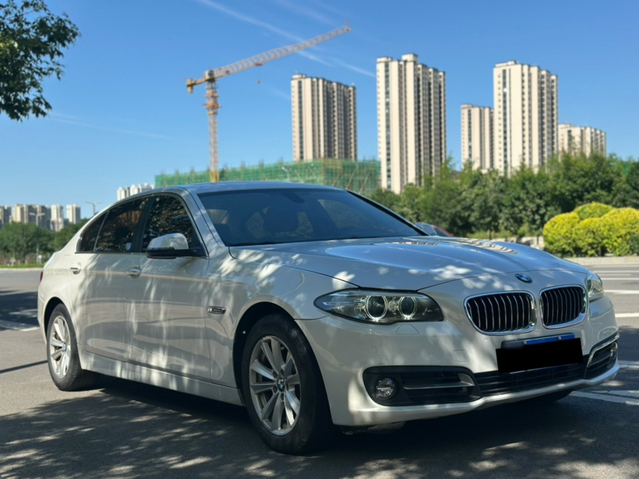 5 Series 2014 520Li photo 3