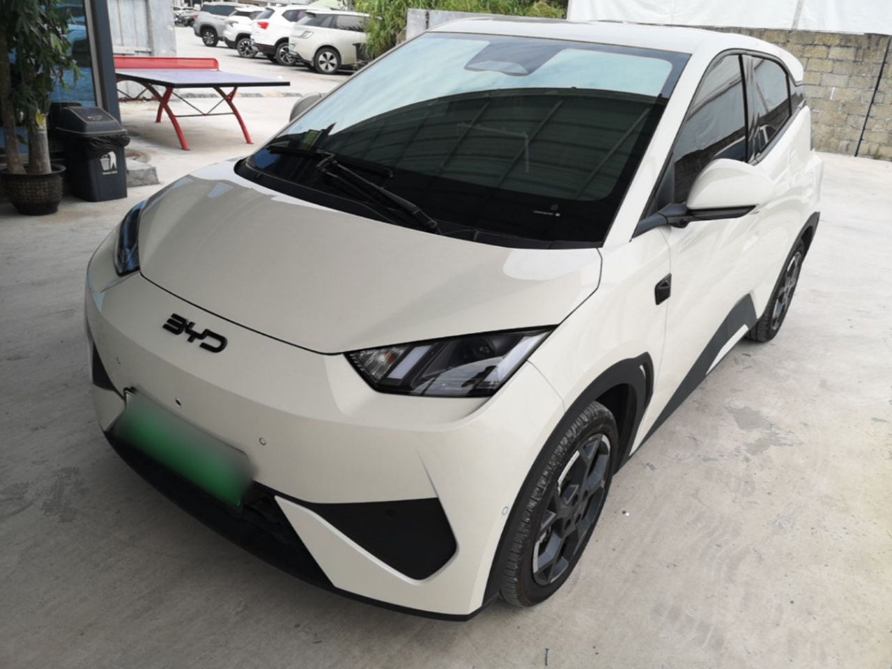 Seagull 2025 ADAS 305km