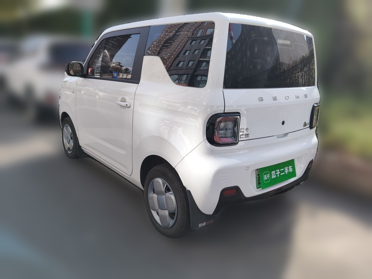 2024 Panda mini 200km Endurance Bear photo 4