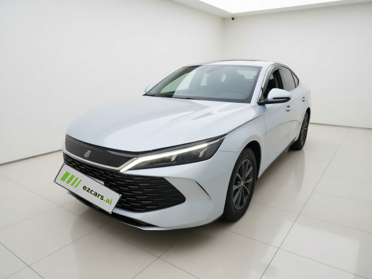 Qin L 2024 DM-i 80KM Leading
