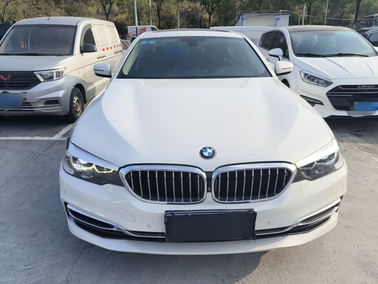 5 Series 2019 530Li Leading Luxury photo 2