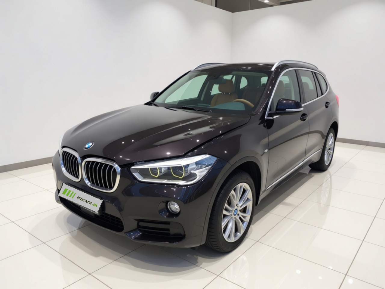 X1 2019 sDrive20Li Leading