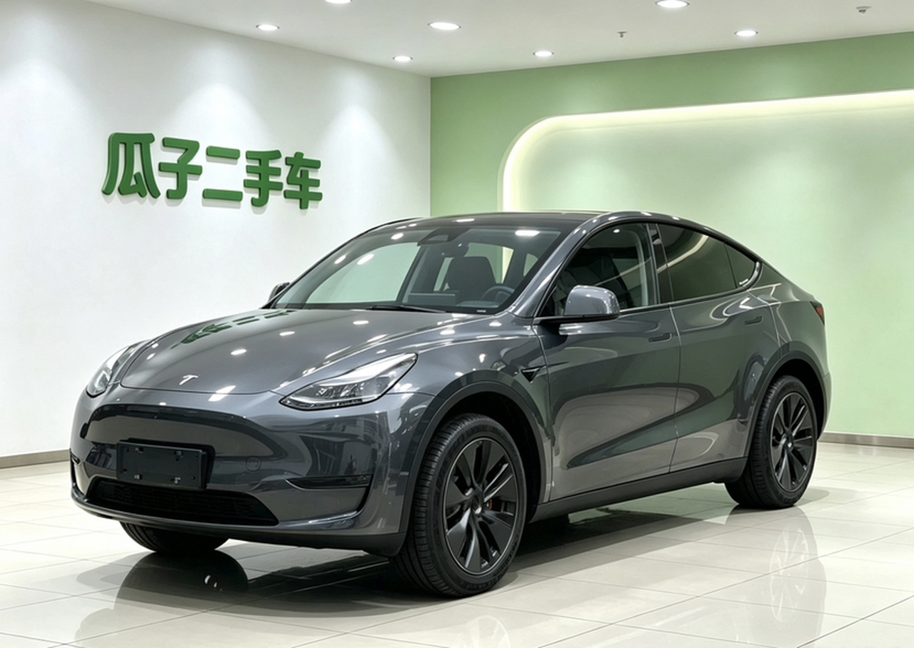 Model Y 2024 Long Range AWD