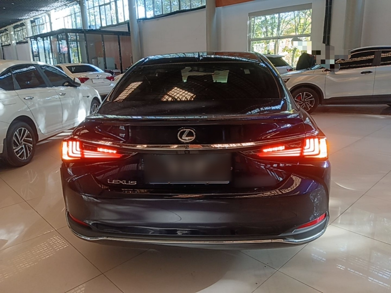 ES 2022 300h Excellence photo 5