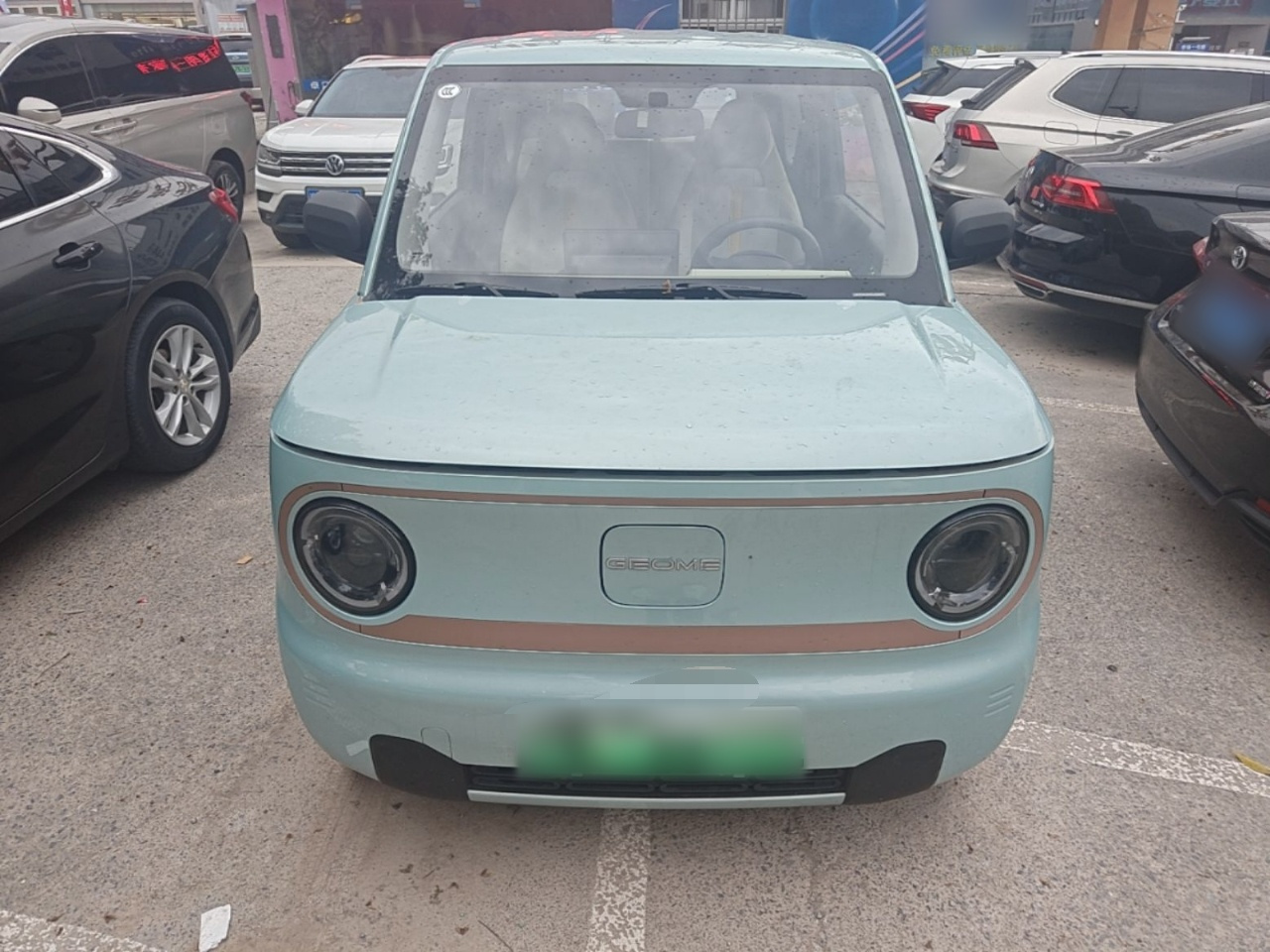 2024 Panda mini 200km Endurance Bear photo 2