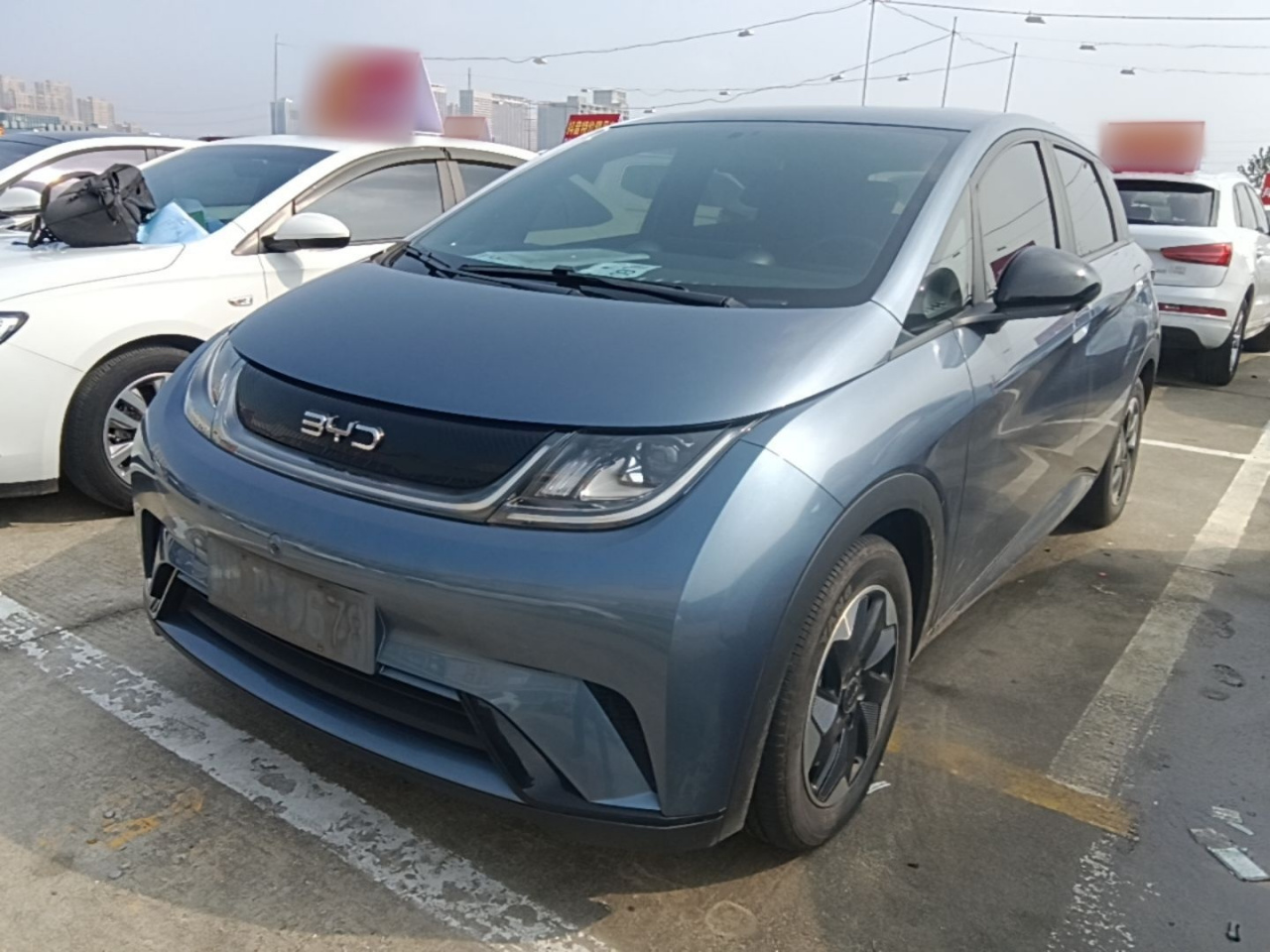 Dolphin 2024 Honor 420km