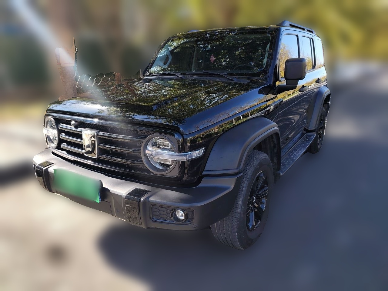 300 2024 2.0T Conqueror