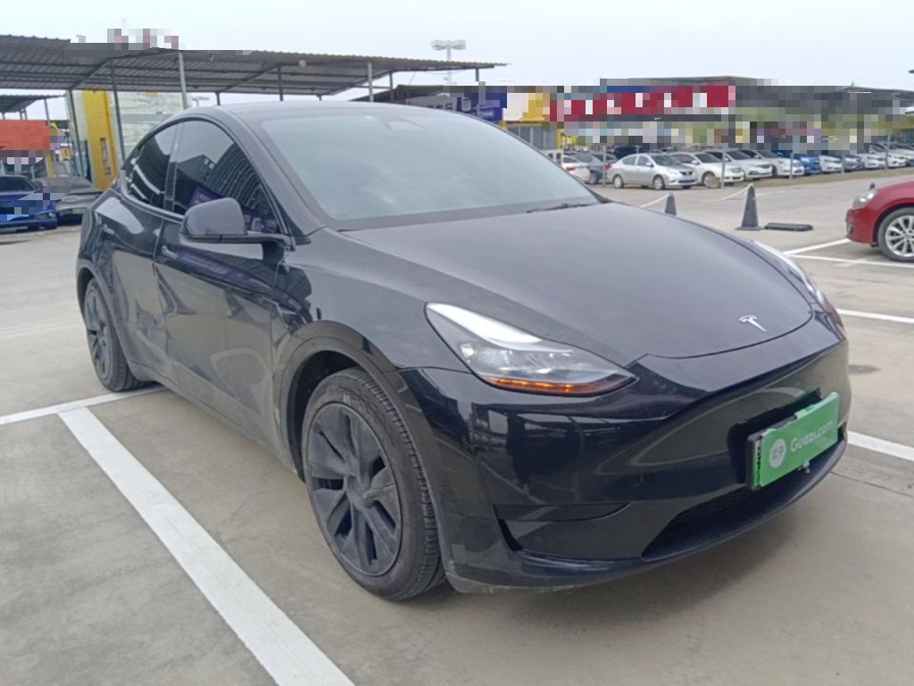 Model Y 2024 RWD photo 3