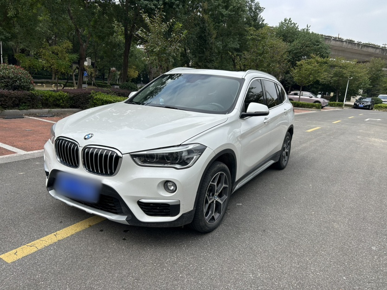 X1 2019 sDrive18Li Exclusive