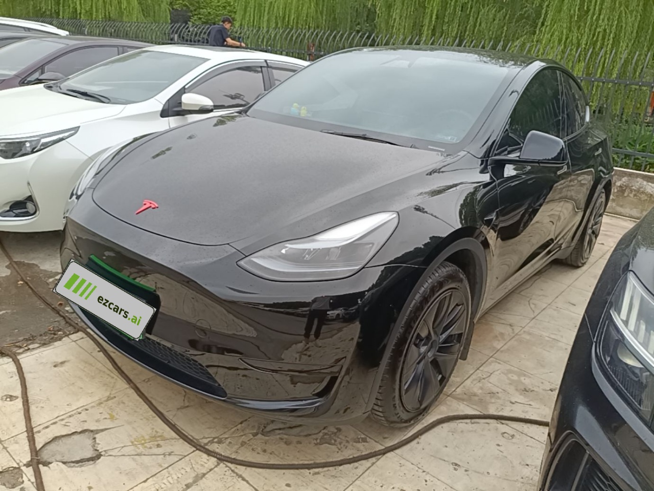 Model Y 2024 RWD