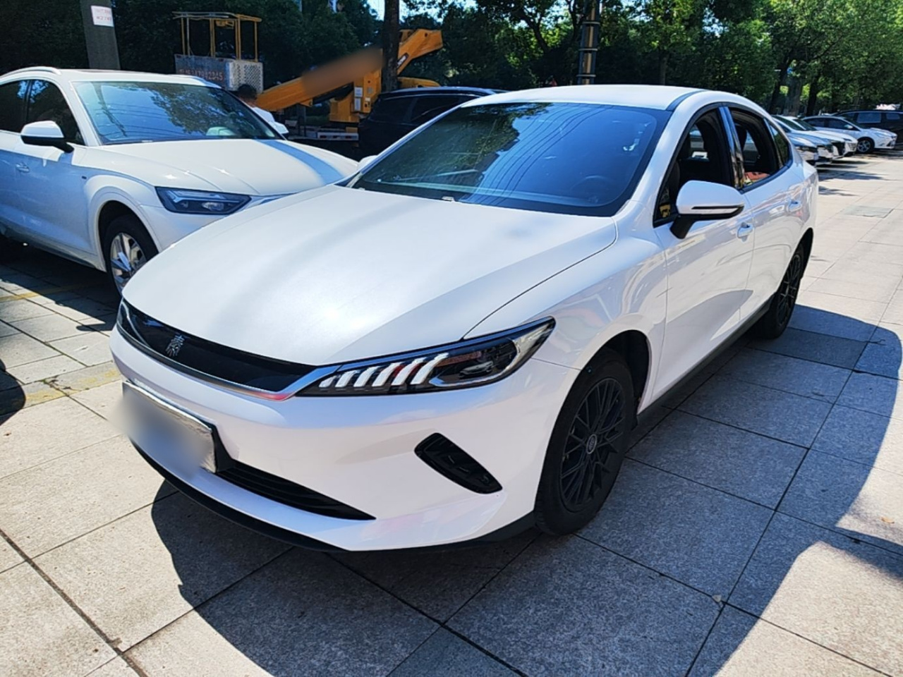 Qin PLUS 2025 EV ADAS 510KM Progressive