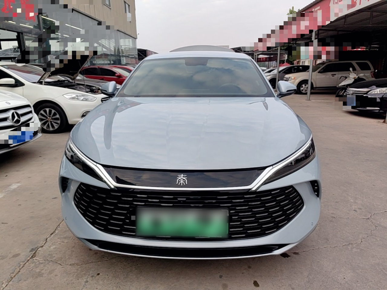Qin L 2024 DM-i 80KM photo 2