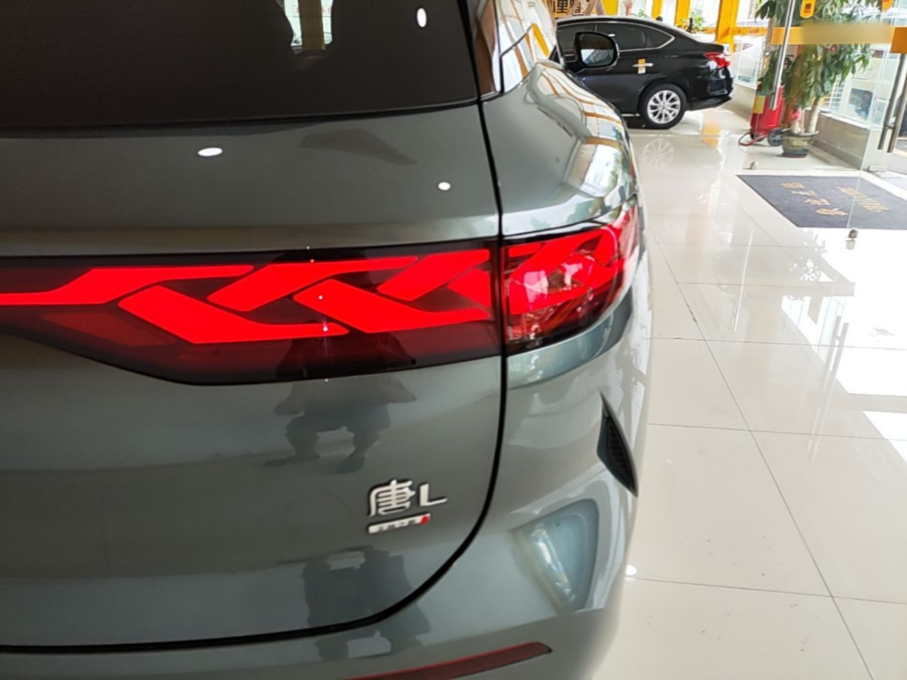 Tang L 2025 DM 175KM photo 2