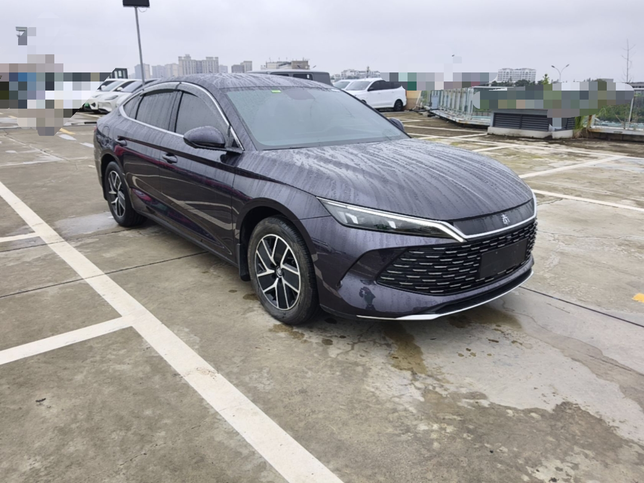 Qin L 2024 DM-i 120KM Leading photo 5