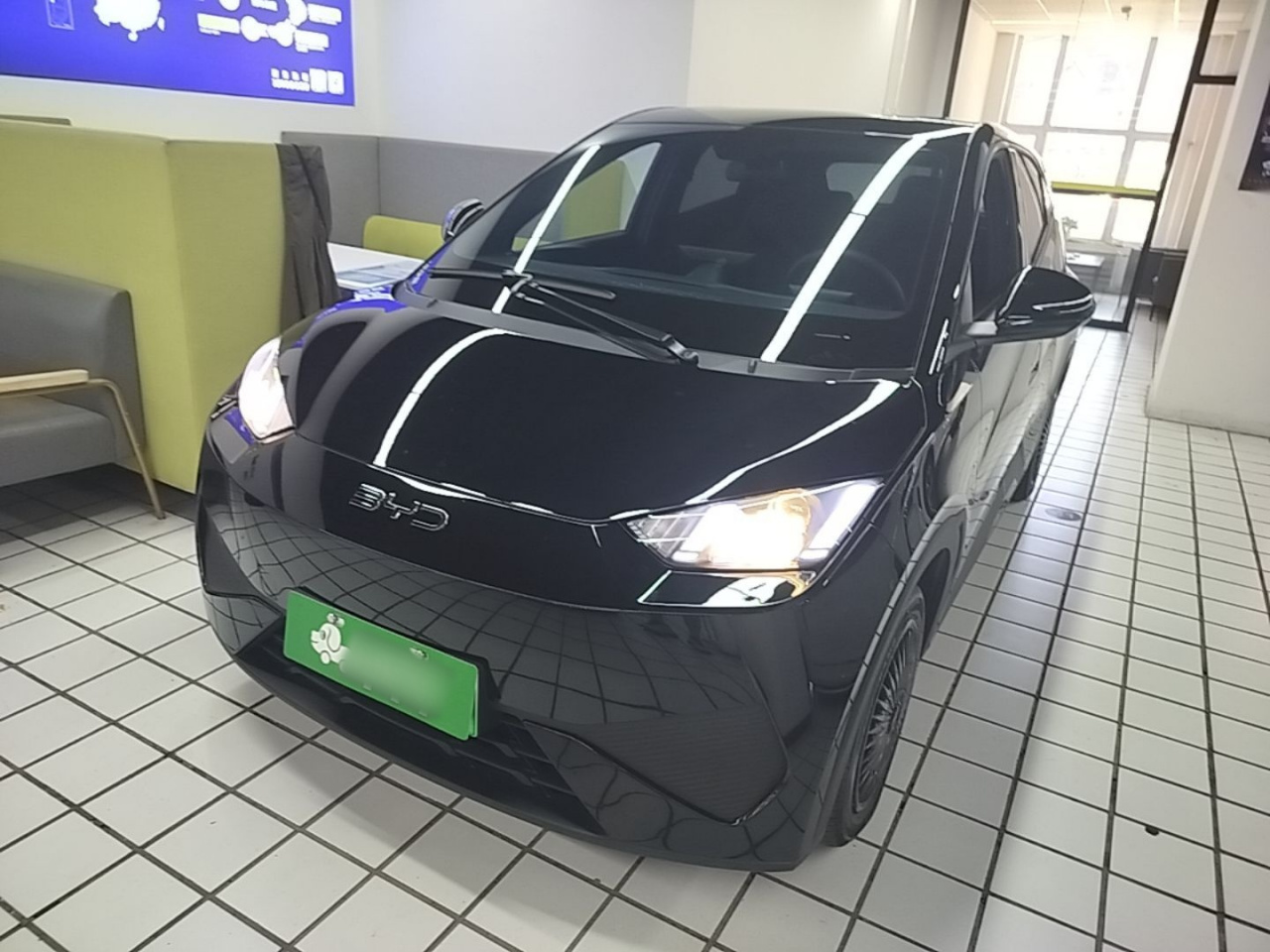 Seagull 2025 305km