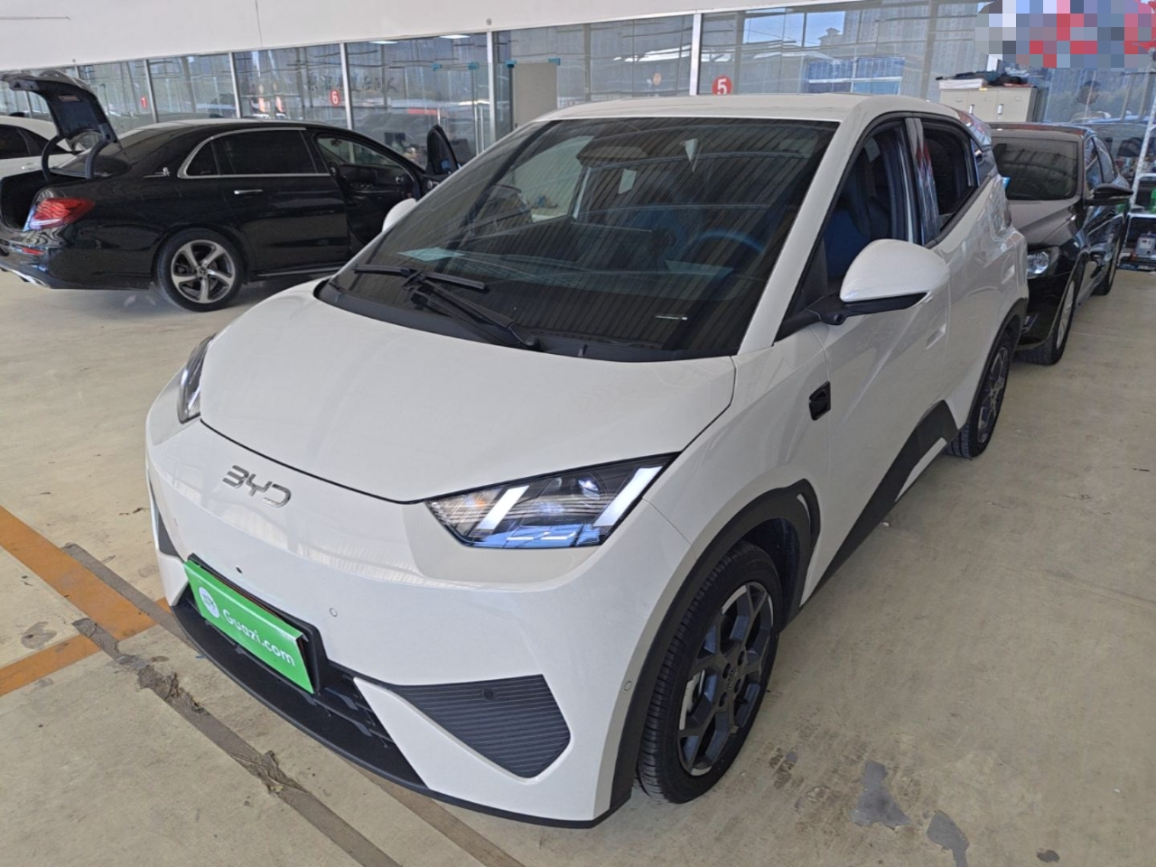Seagull 2025 ADAS 305km