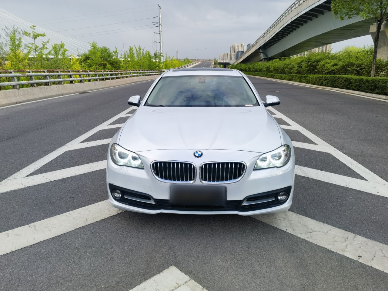 5 Series 2014 520Li photo 3