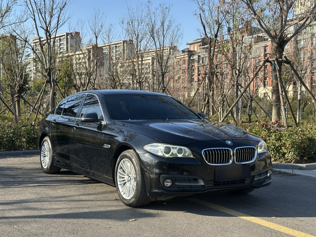5 Series 2014 525Li Leading photo 3