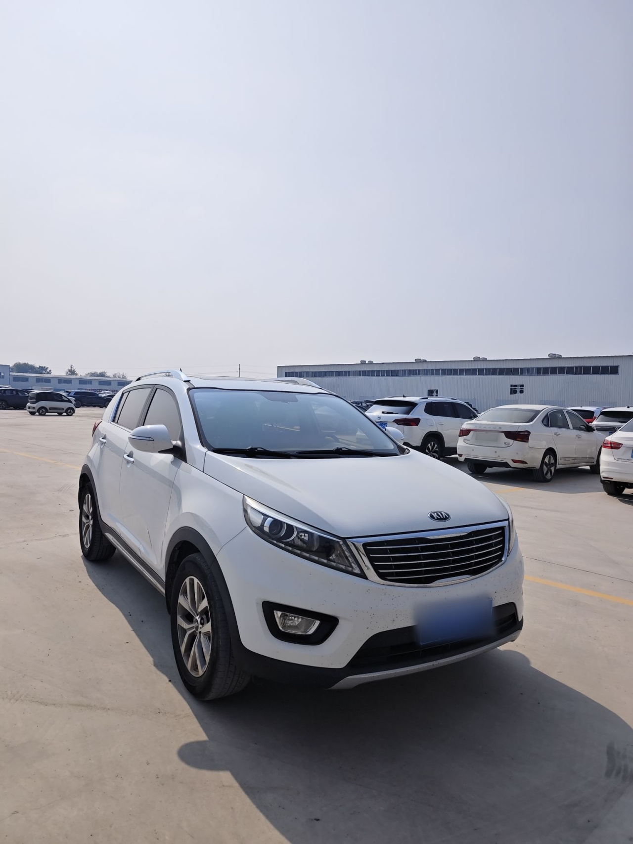 Sportage 2015 2.0L AT RWD GLS photo 3