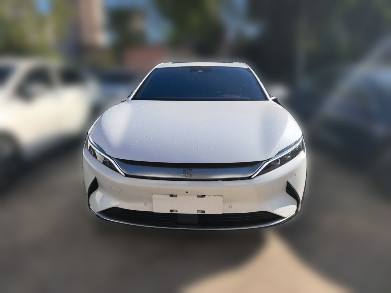 Han 2020 EV Extended Range Premium photo 2
