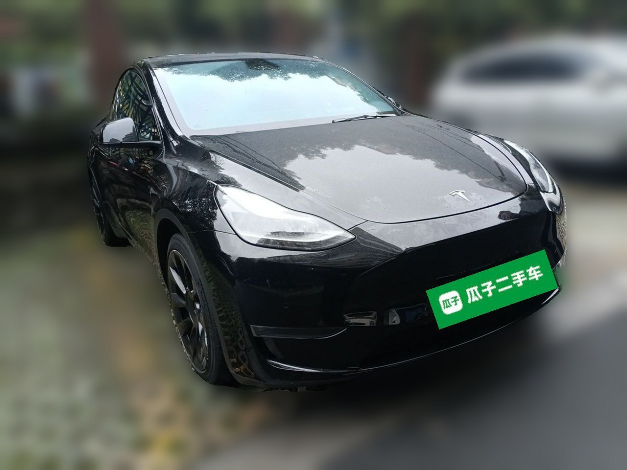 Model Y 2021 Standard Range RWD photo 3