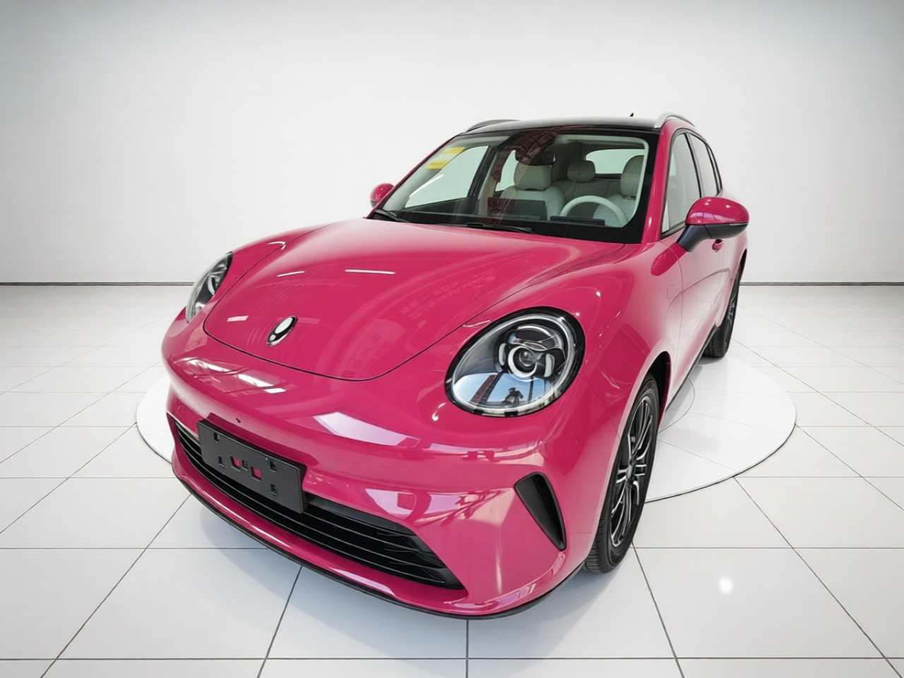 5 EV 2026 480km Pro