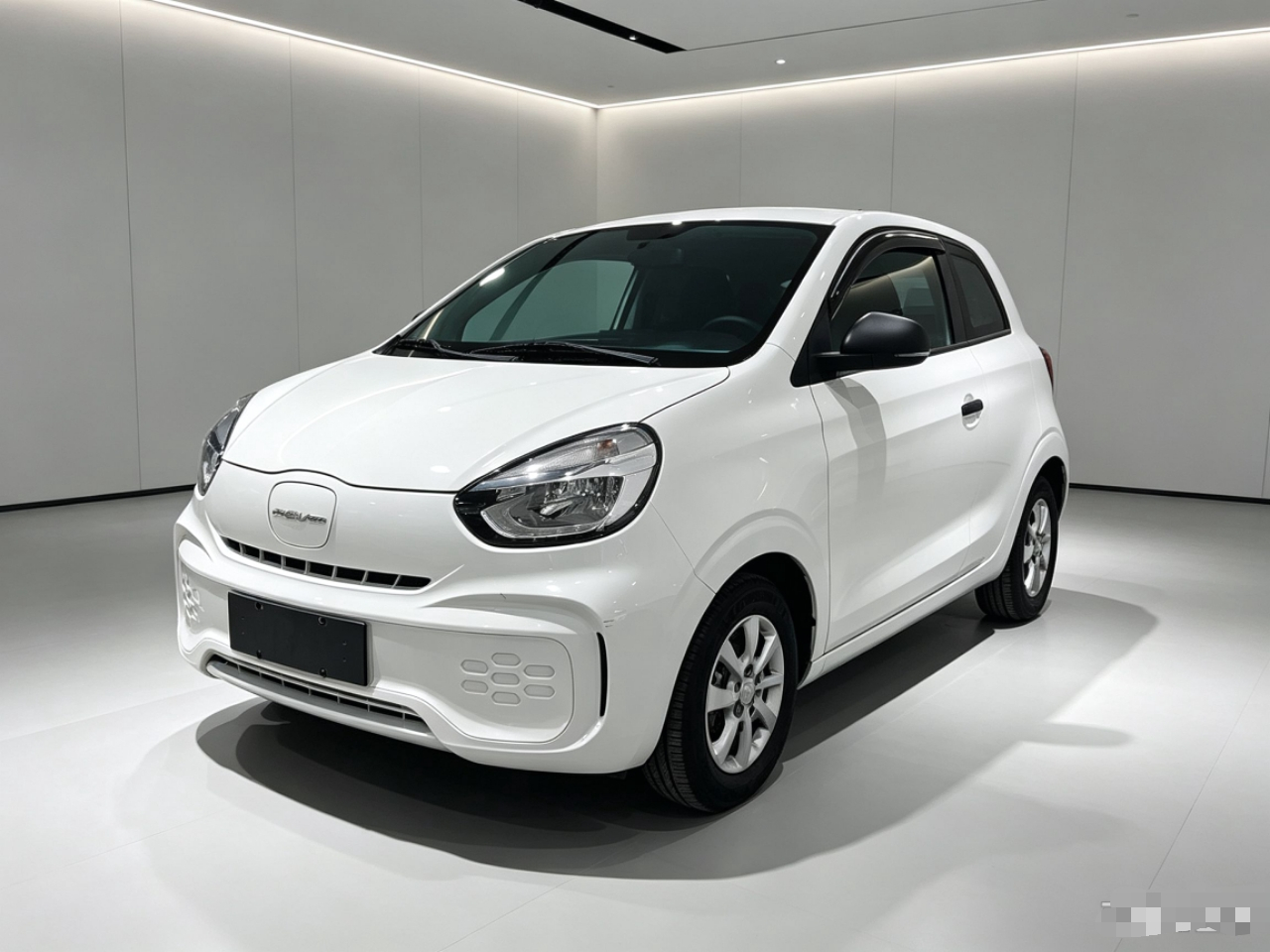 Clever R 2022 311km Yuan