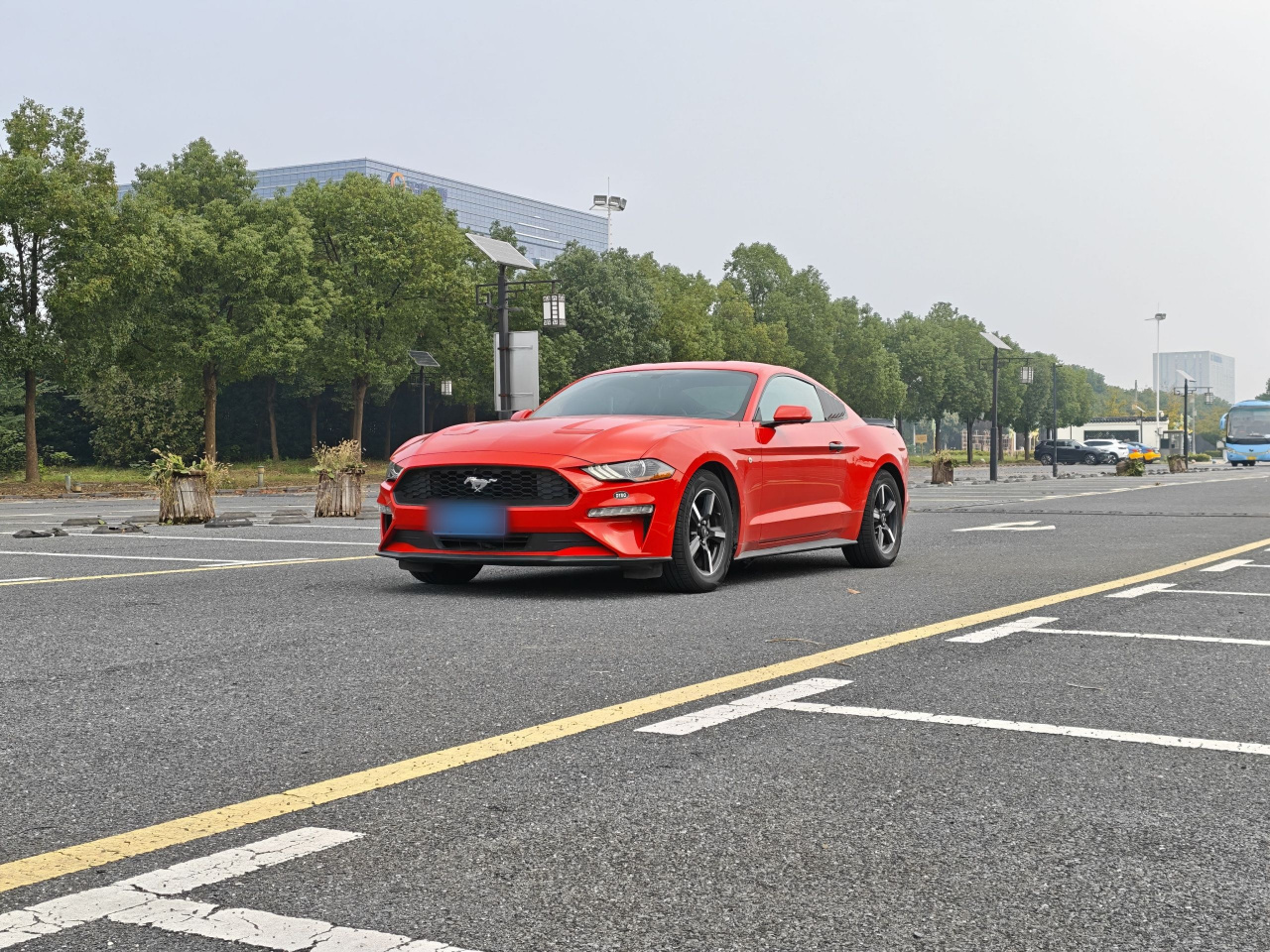 Mustang Parallel Import photo 3