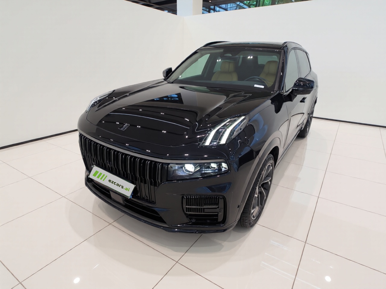 09 2021 2.0T Halo 7-Seater