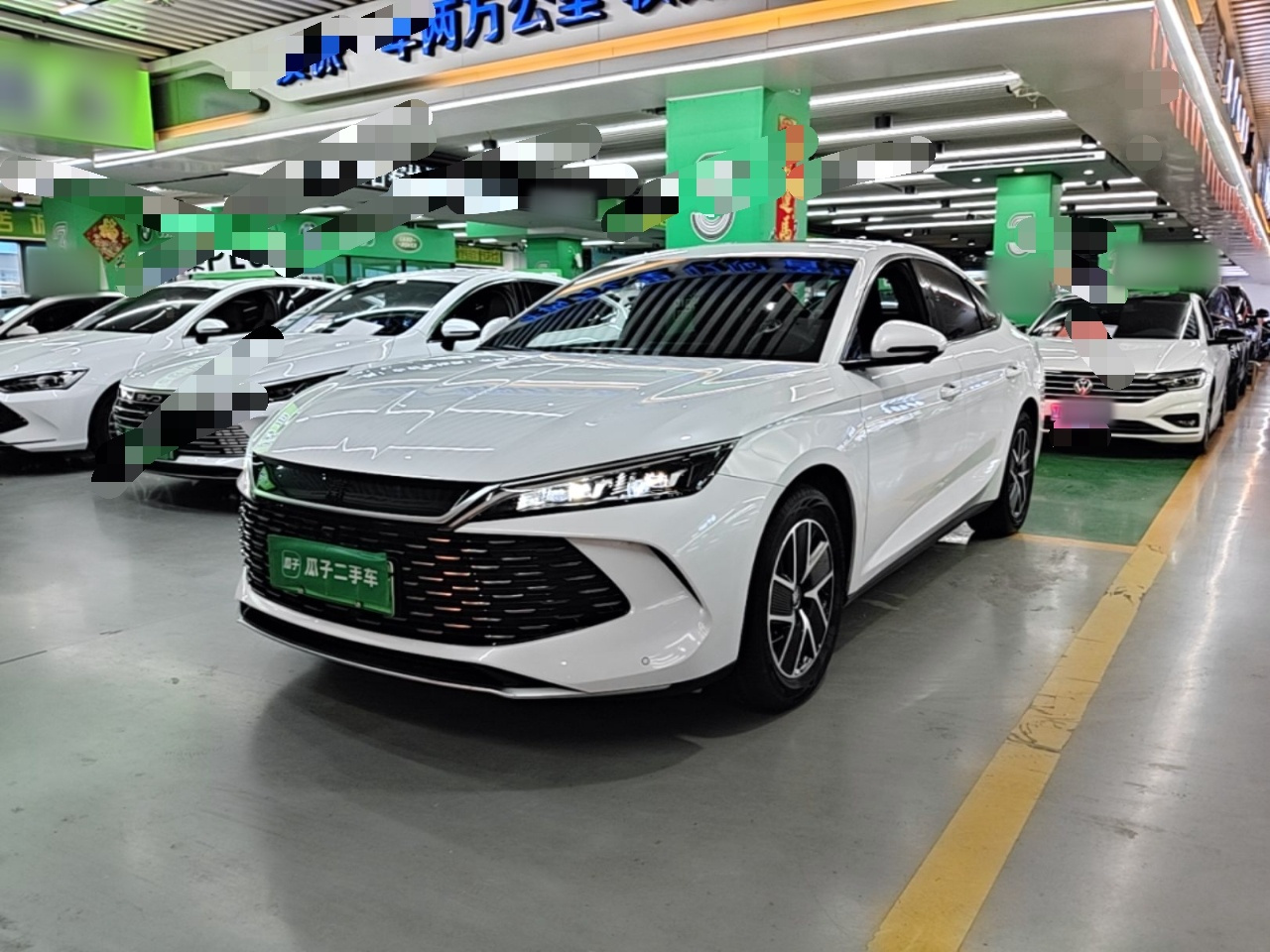 Qin L 2024 DM-i 120KM Leading