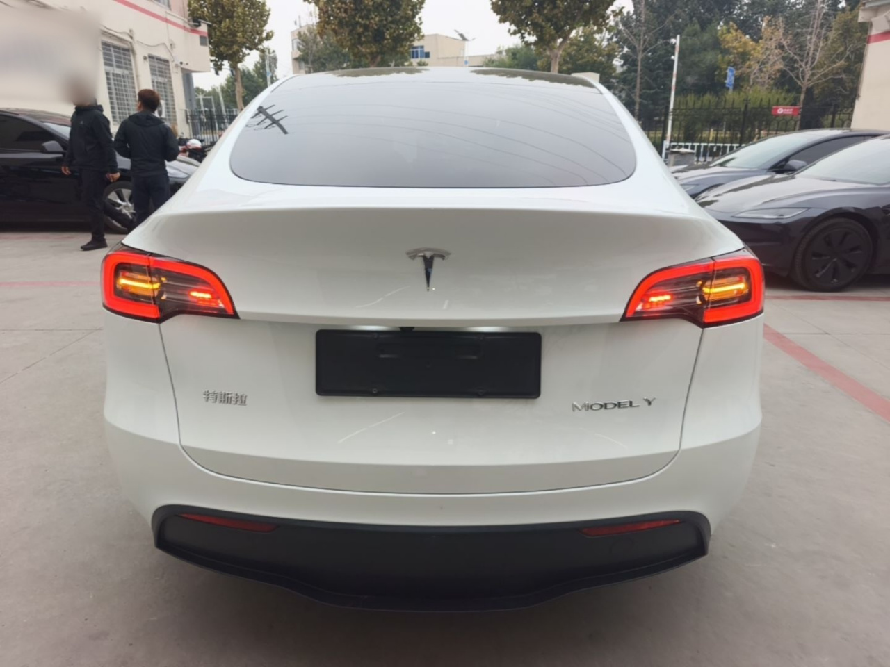 Model Y 2024 RWD photo 5