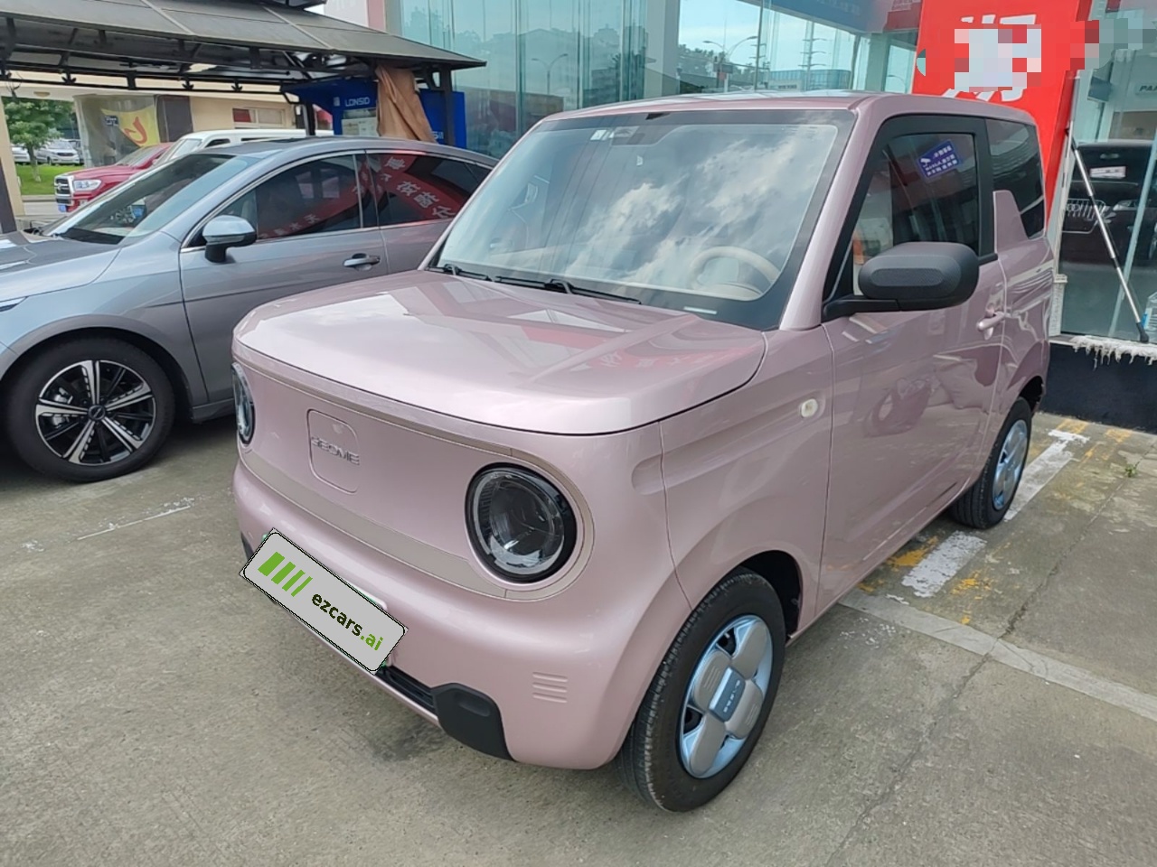 2023 Panda mini 200km Endurance Bear