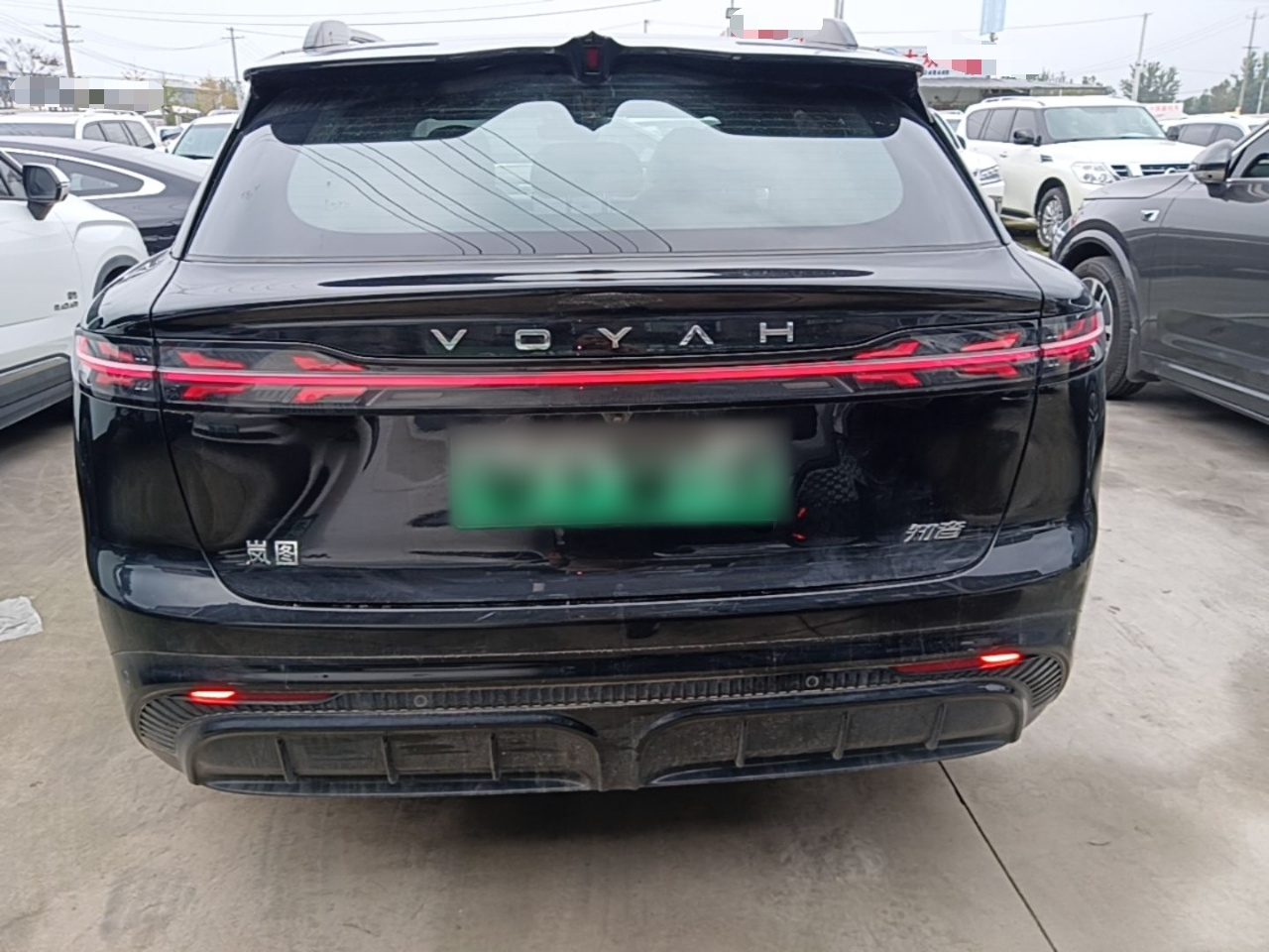 Voyah 2024 AWD photo 3