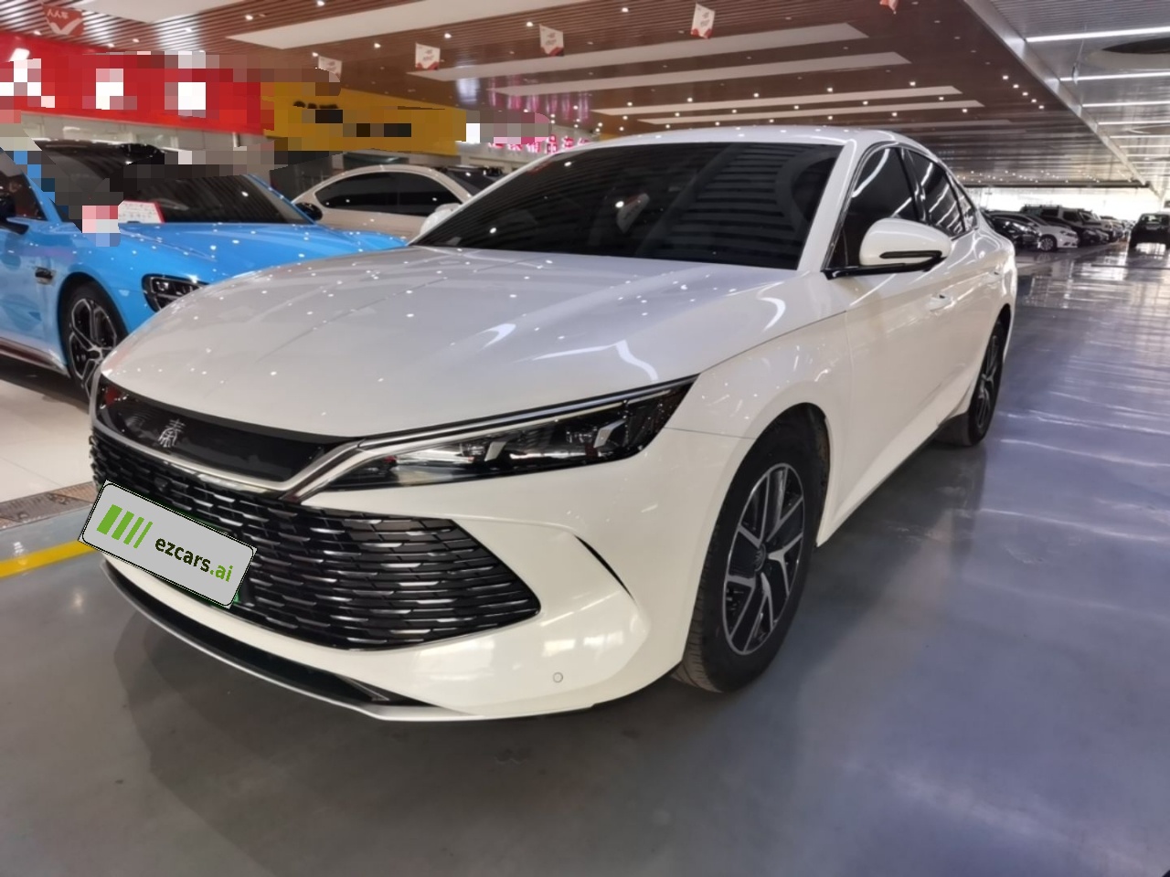 Qin L 2024 DM-i 80KM