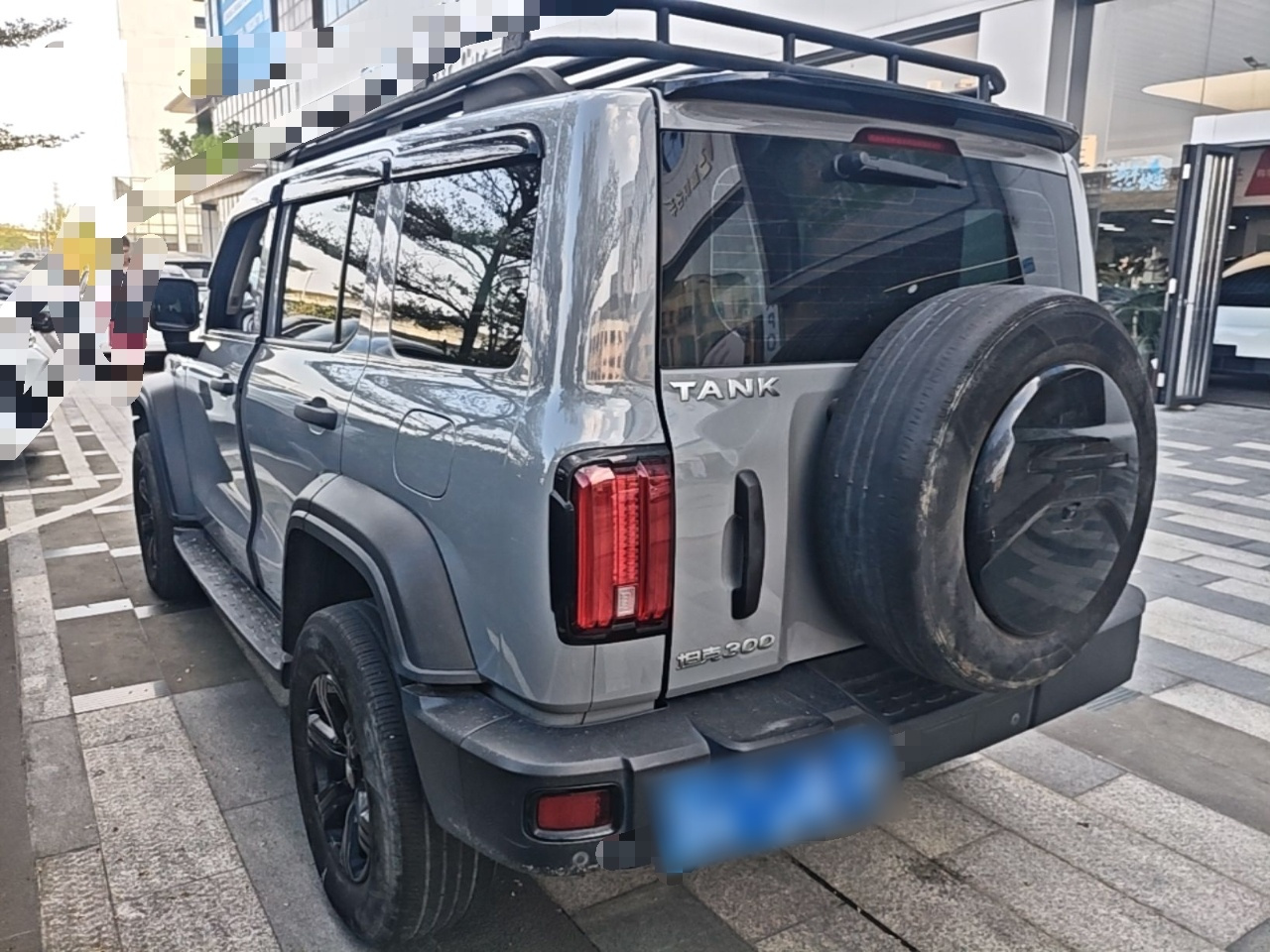 300 2021 Off-road 2.0T photo 4