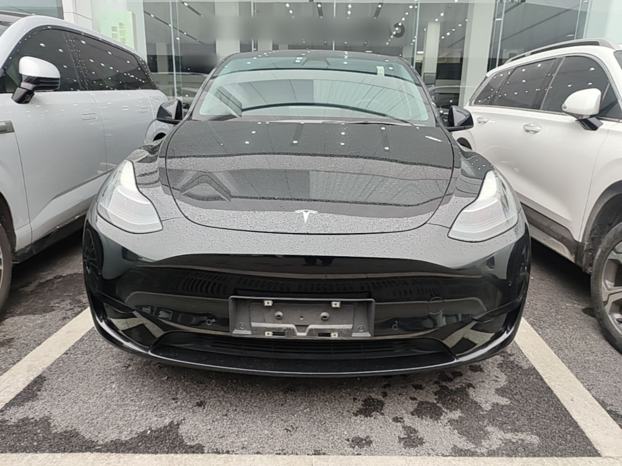 Model Y 2022 RWD photo 2