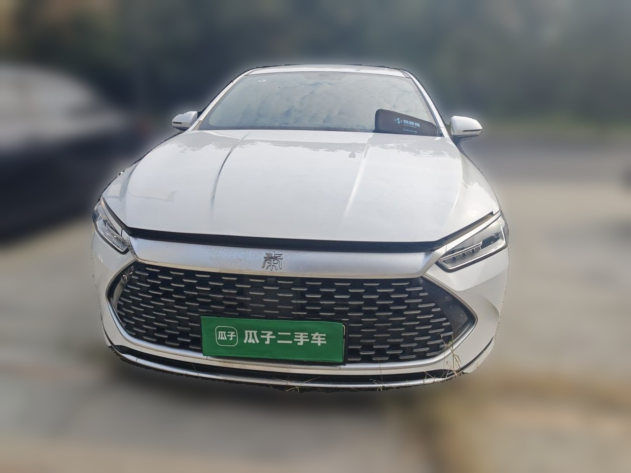 Qin PLUS 2024 Honor DM-i 55KM Leading photo 2