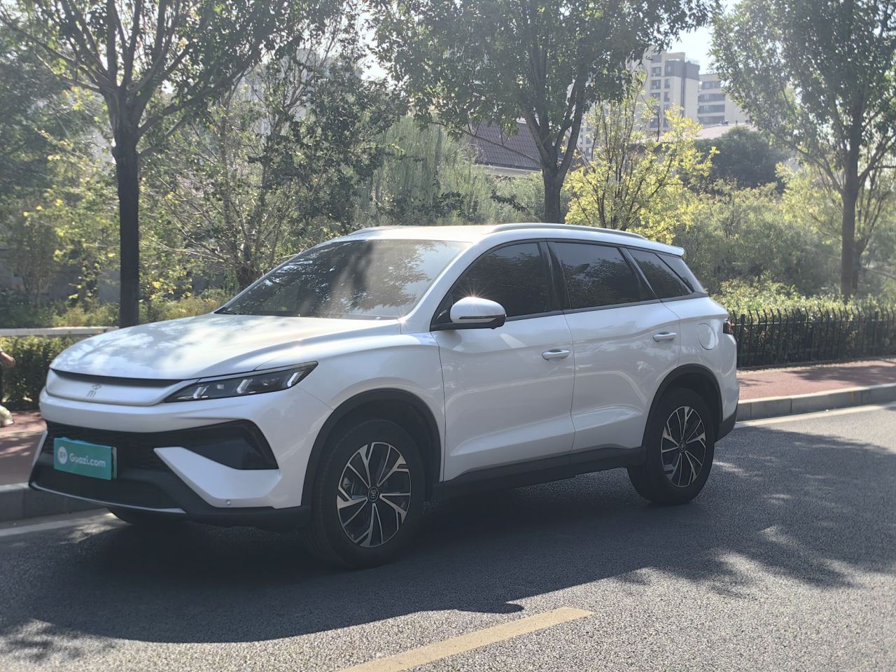Song Pro EV 2026 DM-i 133KM Progressive